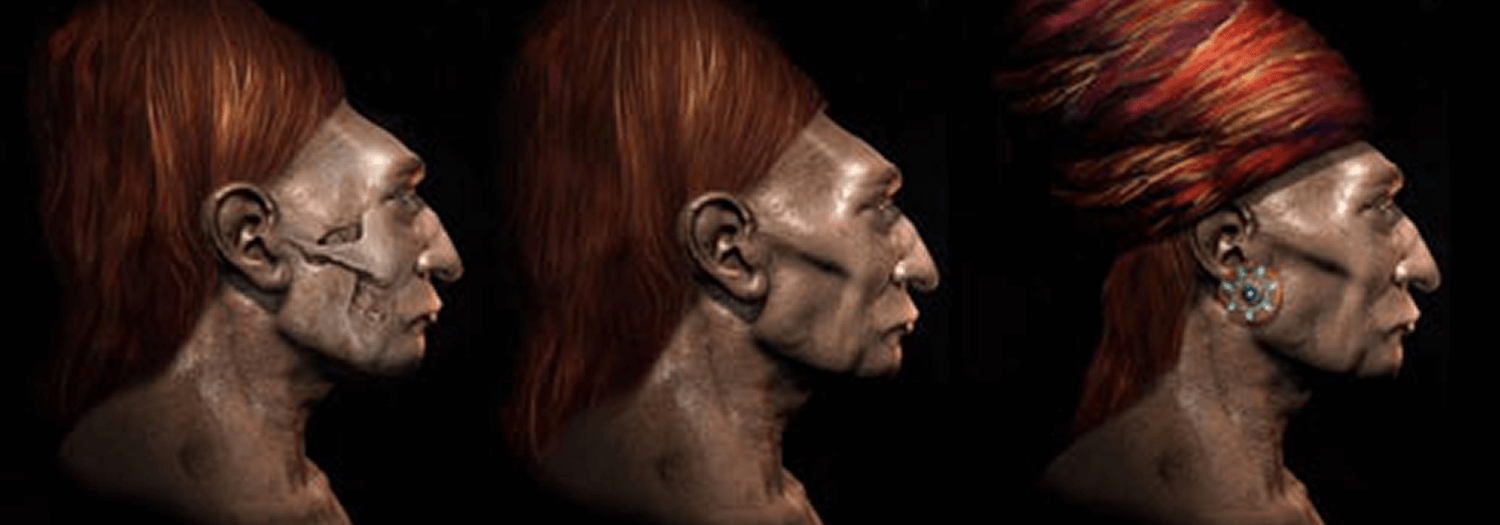 DNA test results confirmed: Paracas skulls are not human – Further testing planned
