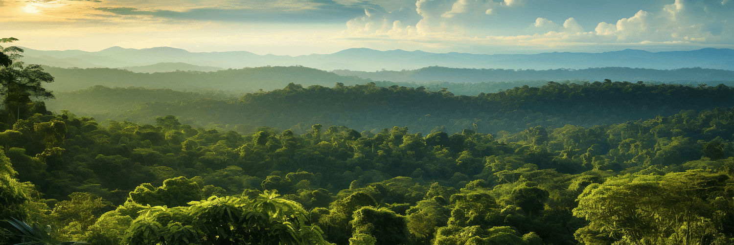 Myth of pristine Amazon rainforest busted as old cities reappear