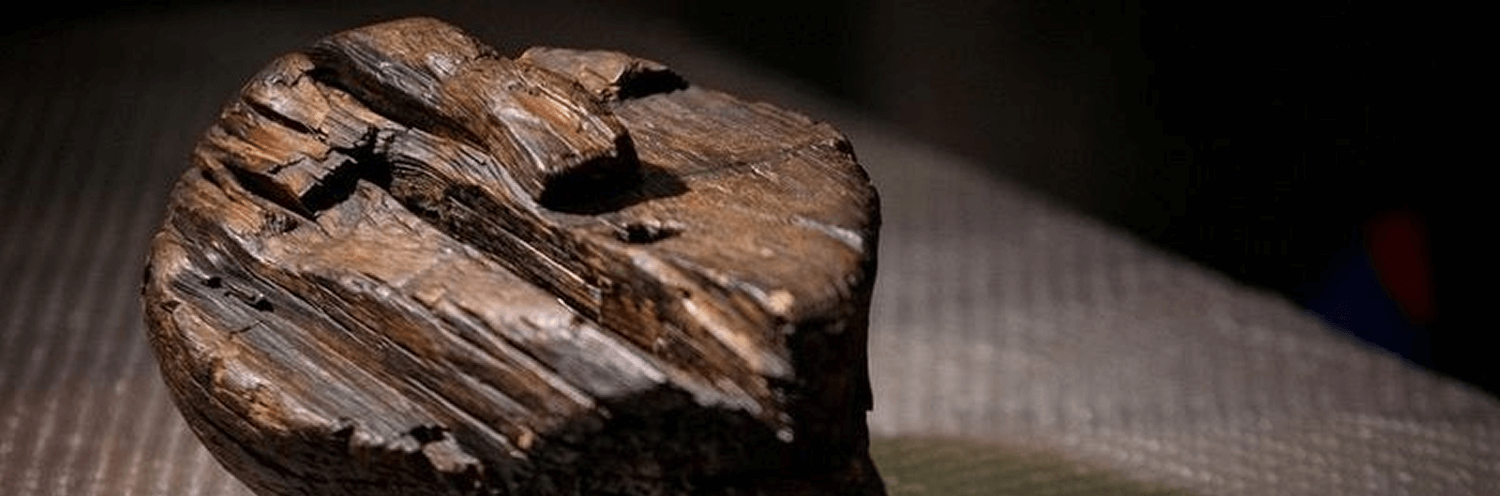 Shigir Idol has ‘encrypted codes’ and could be 11,000 years old