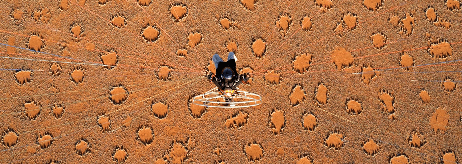 Dragons, aliens, bugs? Scientists may have solved the mystery of the desert’s ‘fairy circles’