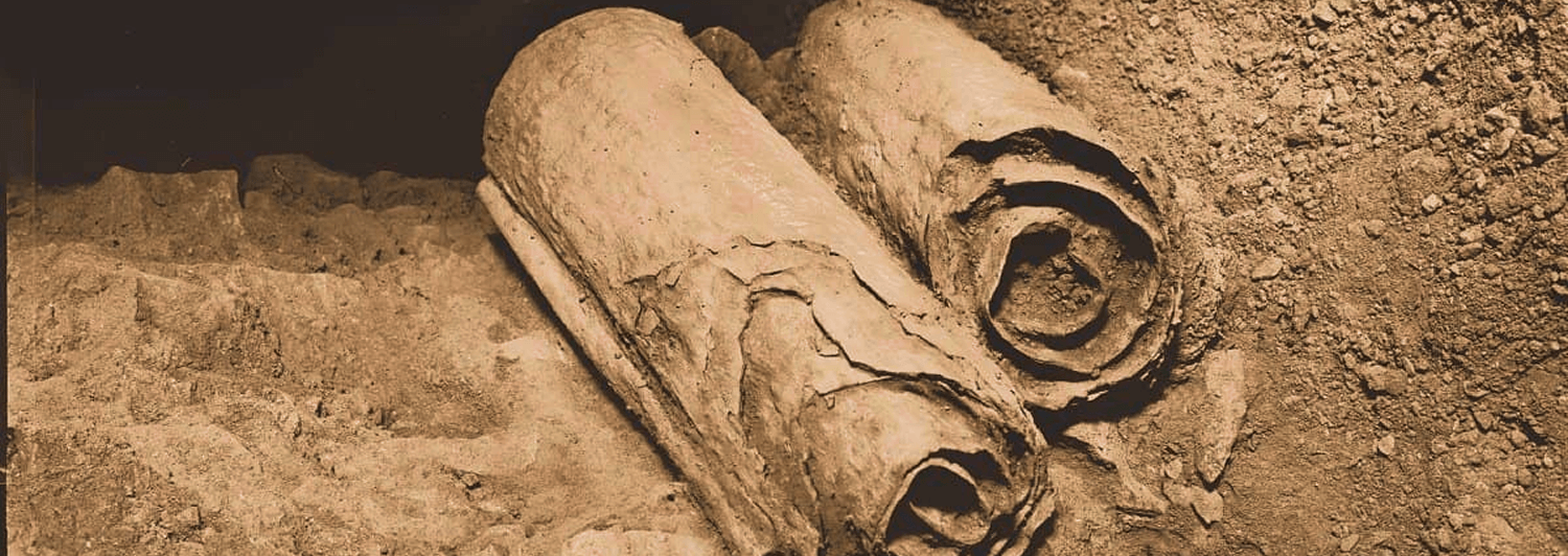 Searching for the next Dead Sea Scrolls ahead of thieves: Dust to dust as archaeologists and volunteers keep up the pace.