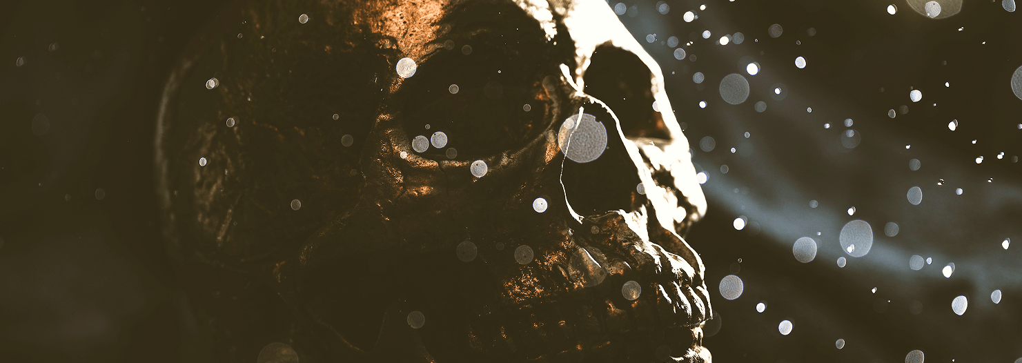Researchers discover bullet holes in Million year old prehistoric skulls